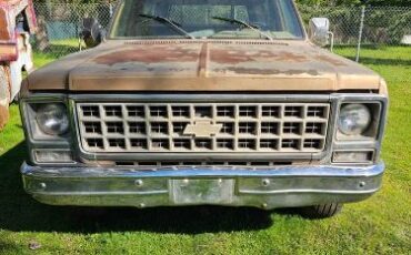 Chevrolet-C10-1980-Custom-7