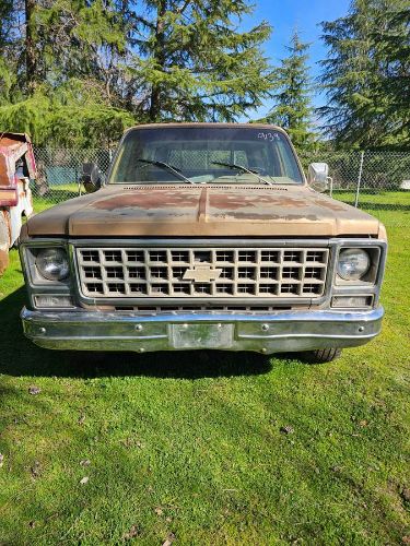 Chevrolet-C10-1980-Custom-7