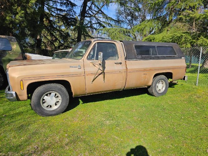 Chevrolet-C10-1980-Custom