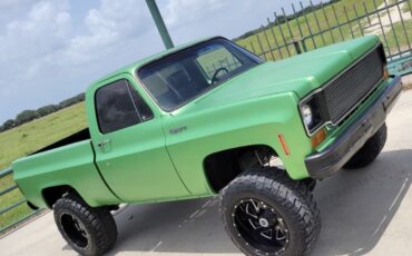 Chevrolet-C10K10-1973-5