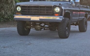 Chevrolet-C10K10-1980-2