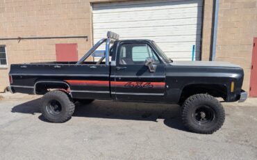 Chevrolet-C10K10-1980-4