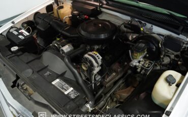 Chevrolet-C1500-1994-Summit-White-Gray-27