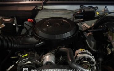 Chevrolet-C1500-1994-Summit-White-Gray-29
