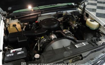 Chevrolet-C1500-1994-Summit-White-Gray-30