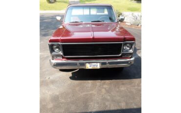 Chevrolet-C20-1978-burgandymetallic-BlackBurgandy-15
