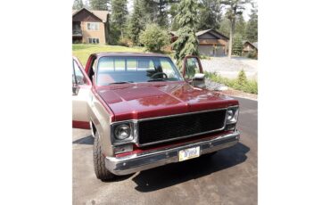 Chevrolet-C20-1978-burgandymetallic-BlackBurgandy-5