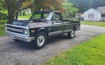 Chevrolet C20 Pickup 1969 Standard Cab Pickup