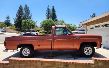 Chevrolet-C20-Pickup-1978-Standard-Cab-Pickup-1