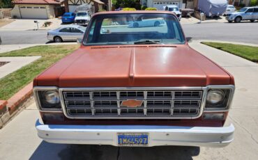 Chevrolet-C20-Pickup-1978-Standard-Cab-Pickup-2