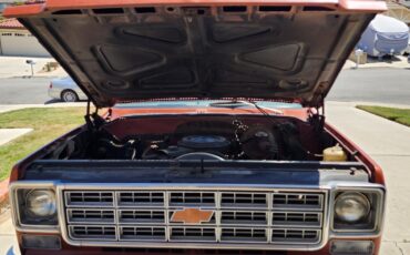 Chevrolet-C20-Pickup-1978-Standard-Cab-Pickup-21