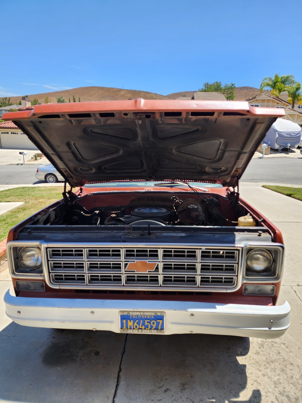 Chevrolet-C20-Pickup-1978-Standard-Cab-Pickup-21