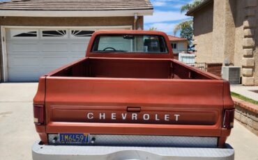 Chevrolet-C20-Pickup-1978-Standard-Cab-Pickup-3