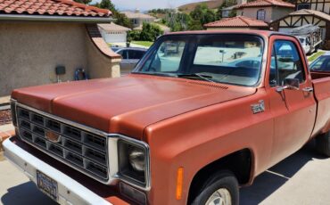 Chevrolet-C20-Pickup-1978-Standard-Cab-Pickup-30