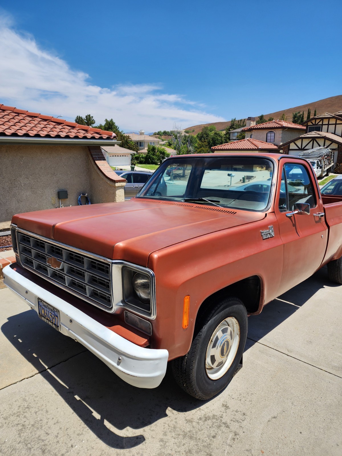 Chevrolet-C20-Pickup-1978-Standard-Cab-Pickup-30