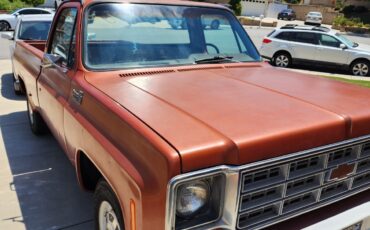 Chevrolet-C20-Pickup-1978-Standard-Cab-Pickup-31