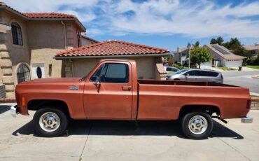 Chevrolet-C20-Pickup-1978-Standard-Cab-Pickup
