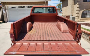 Chevrolet-C20-Pickup-1978-Standard-Cab-Pickup-4