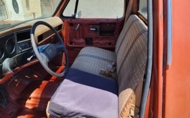 Chevrolet-C20-Pickup-1978-Standard-Cab-Pickup-6