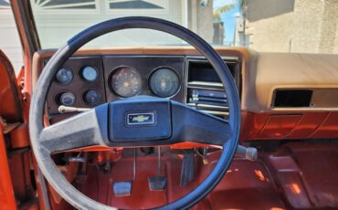 Chevrolet-C20-Pickup-1978-Standard-Cab-Pickup-9