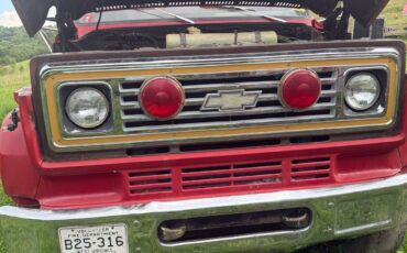 Chevrolet-C6500-1982-4