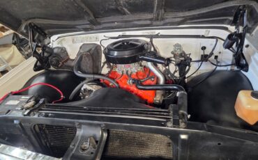 Chevrolet-CK-Pickup-1500-1970-Standard-Cab-Pickup-15