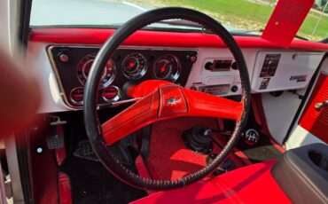 Chevrolet-CK-Pickup-1500-1970-Standard-Cab-Pickup-8