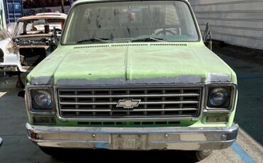 Chevrolet-CK-Pickup-1500-1975-Standard-Cab-Pickup-1