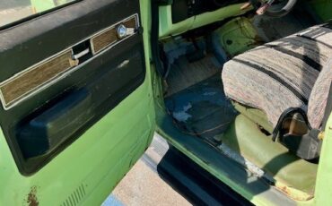 Chevrolet-CK-Pickup-1500-1975-Standard-Cab-Pickup-12