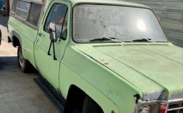 Chevrolet-CK-Pickup-1500-1975-Standard-Cab-Pickup-2