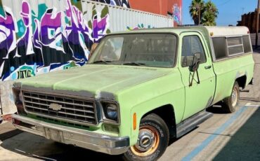 Chevrolet-CK-Pickup-1500-1975-Standard-Cab-Pickup