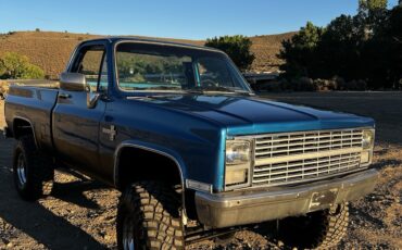 Chevrolet-CK-Pickup-1500-1981-Standard-Cab-Pickup-1