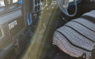 Chevrolet-CK-Pickup-1500-1981-Standard-Cab-Pickup-11