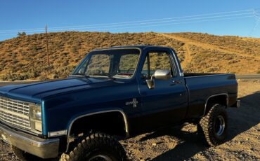 Chevrolet-CK-Pickup-1500-1981-Standard-Cab-Pickup-2