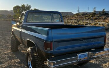 Chevrolet-CK-Pickup-1500-1981-Standard-Cab-Pickup-3
