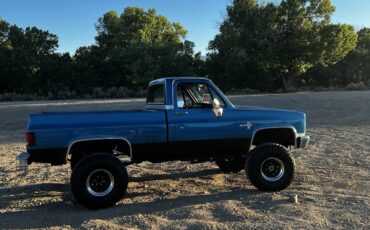 Chevrolet-CK-Pickup-1500-1981-Standard-Cab-Pickup