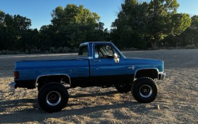 Chevrolet C/K Pickup 1500 1981 Standard Cab Pickup