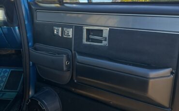 Chevrolet-CK-Pickup-1500-1981-Standard-Cab-Pickup-7