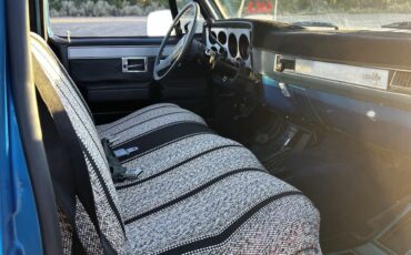 Chevrolet-CK-Pickup-1500-1981-Standard-Cab-Pickup-8