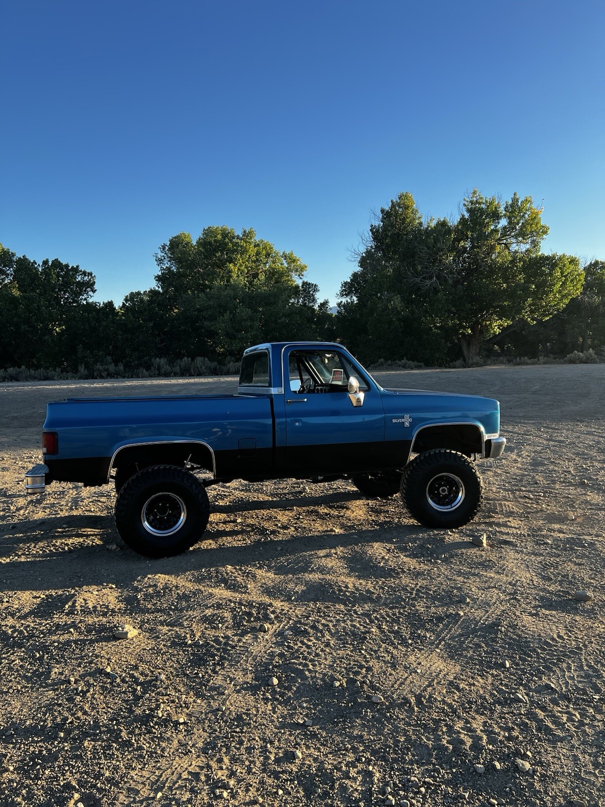 Chevrolet C/K Pickup 1500 1981 Standard Cab Pickup