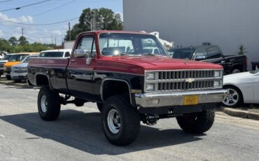 Chevrolet-CK-Pickup-1500-1982-1