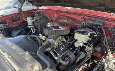 Chevrolet-CK-Pickup-1500-1982-15