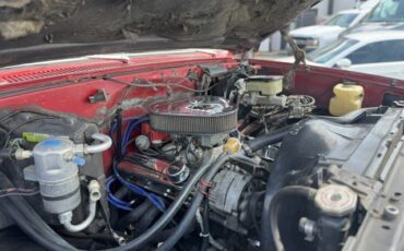 Chevrolet-CK-Pickup-1500-1982-16