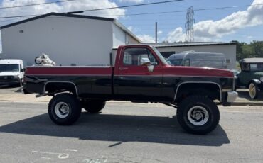 Chevrolet-CK-Pickup-1500-1982-2