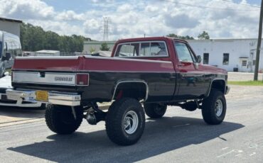 Chevrolet-CK-Pickup-1500-1982-3