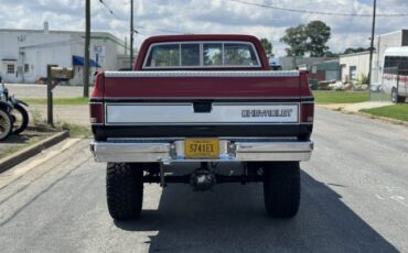 Chevrolet-CK-Pickup-1500-1982-4
