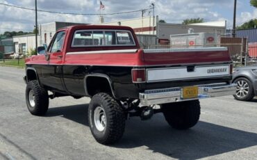 Chevrolet-CK-Pickup-1500-1982-5