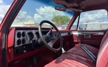 Chevrolet-CK-Pickup-1500-1982-8