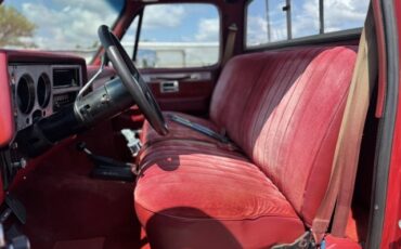 Chevrolet-CK-Pickup-1500-1982-9