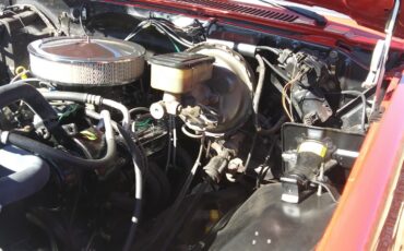 Chevrolet-CK-Pickup-1500-1984-10